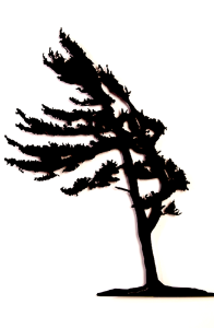 Windswept Pine - Wall - Metal Art - The Cuckoo's Nest