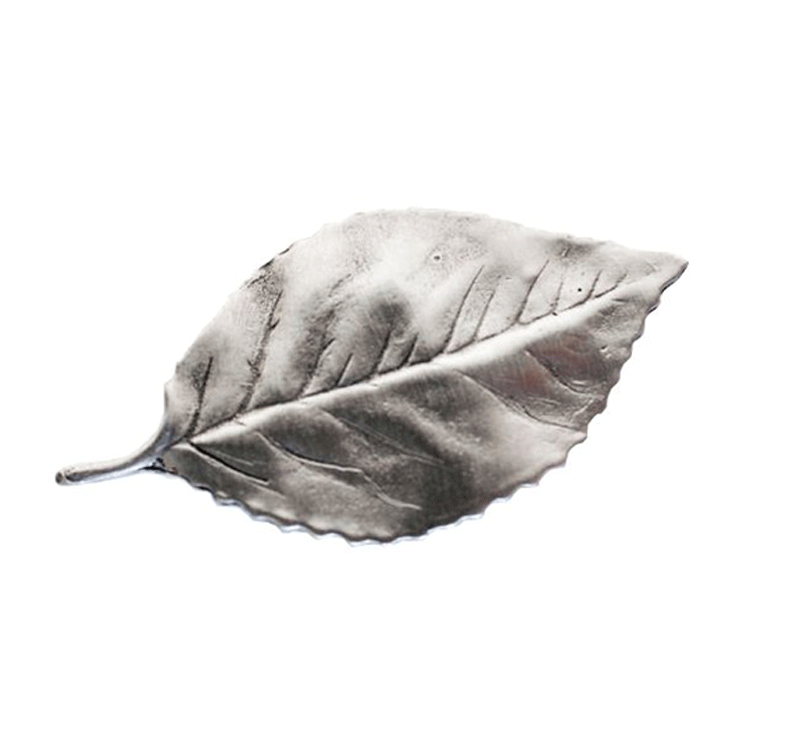 Leaf Magnet Set