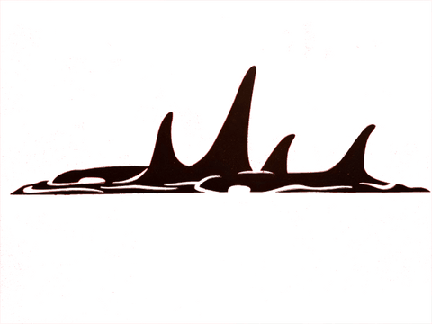 Orca Pod