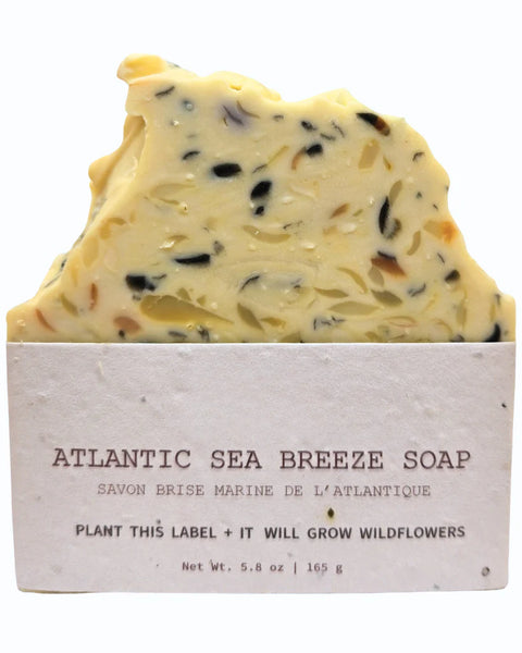 Atlantic Sea Breeze Soap Bar