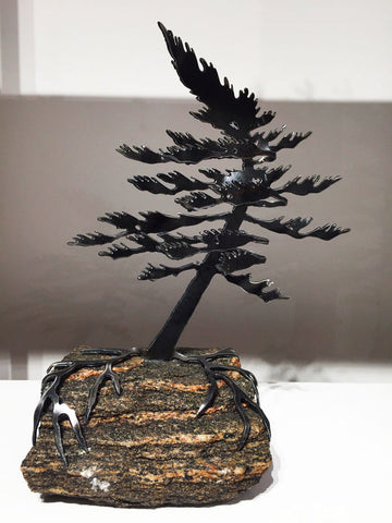 Windswept Pine Sculpture Medium