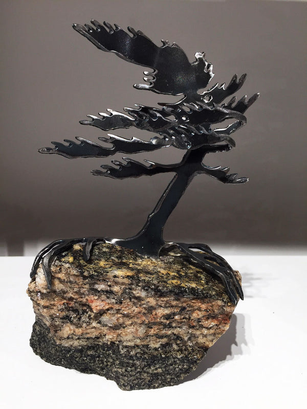 Windswept Pine Sculpture Small