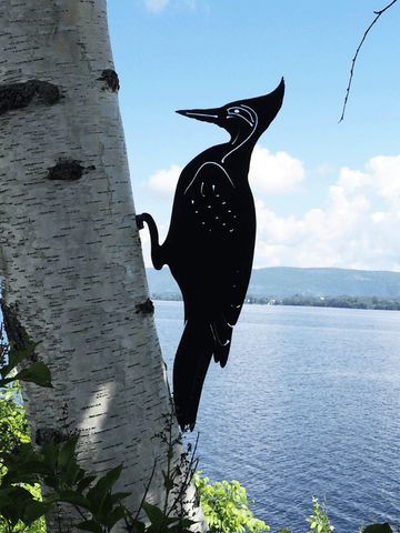 Woodpecker - Mountable