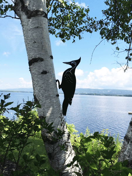 Woodpecker - Mountable