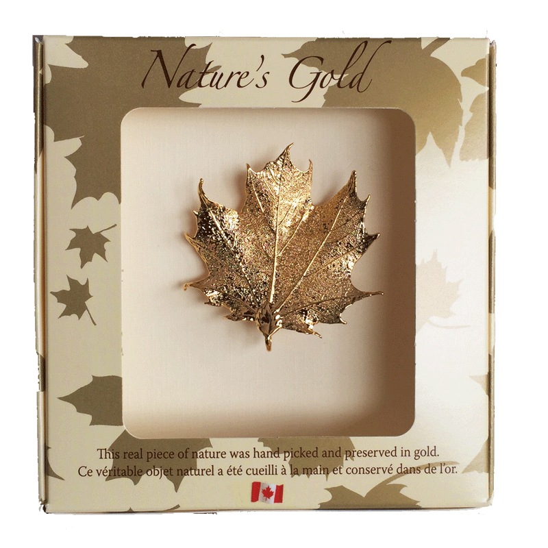 Maple Leaf Brooch - Gold - Jewellery - The Cuckoo's Nest