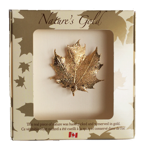 Maple Leaf Brooch - Gold - Jewellery - The Cuckoo's Nest