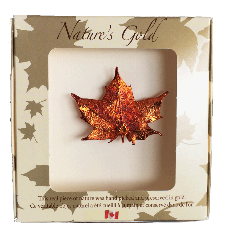 Maple Leaf Brooch - Iridescent - Jewellery - The Cuckoo's Nest