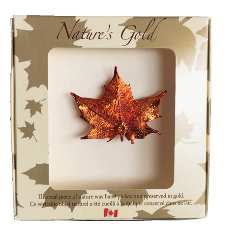Maple Leaf Brooch - Iridescent - Jewellery - The Cuckoo's Nest